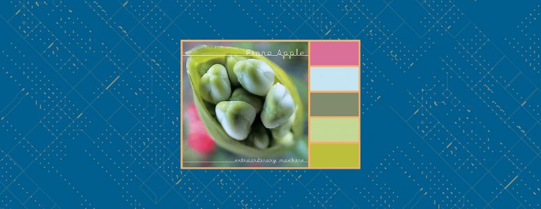 Thursday Throwback – 30/06/2022 – Extraordinary Machine