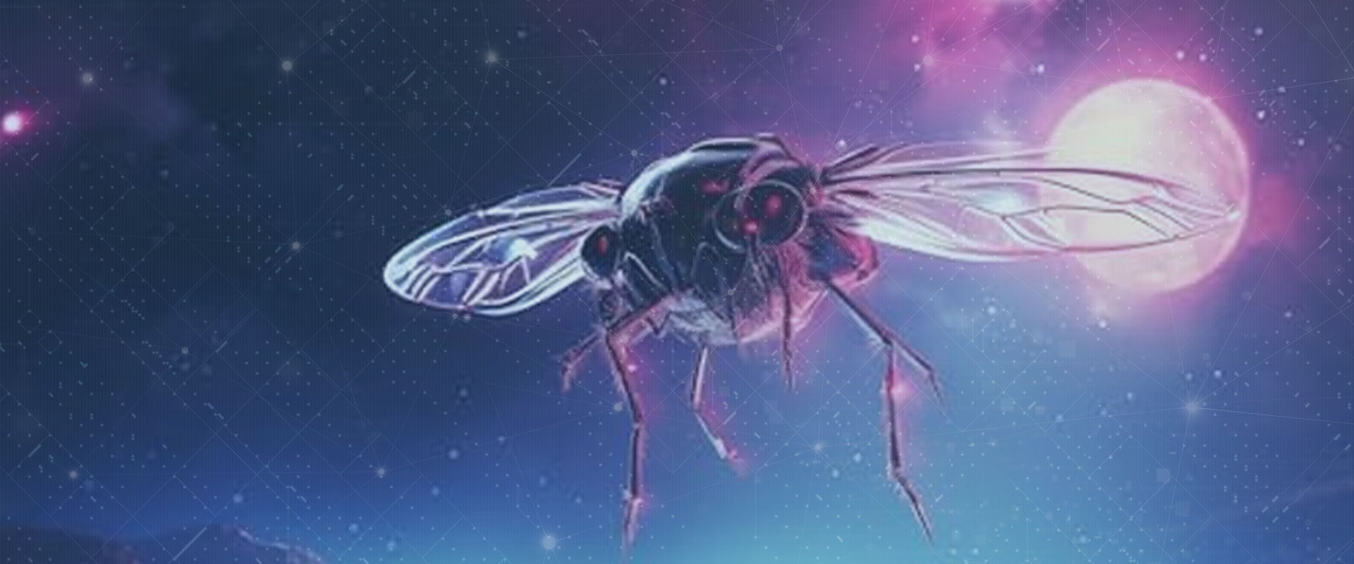 Fireflies
